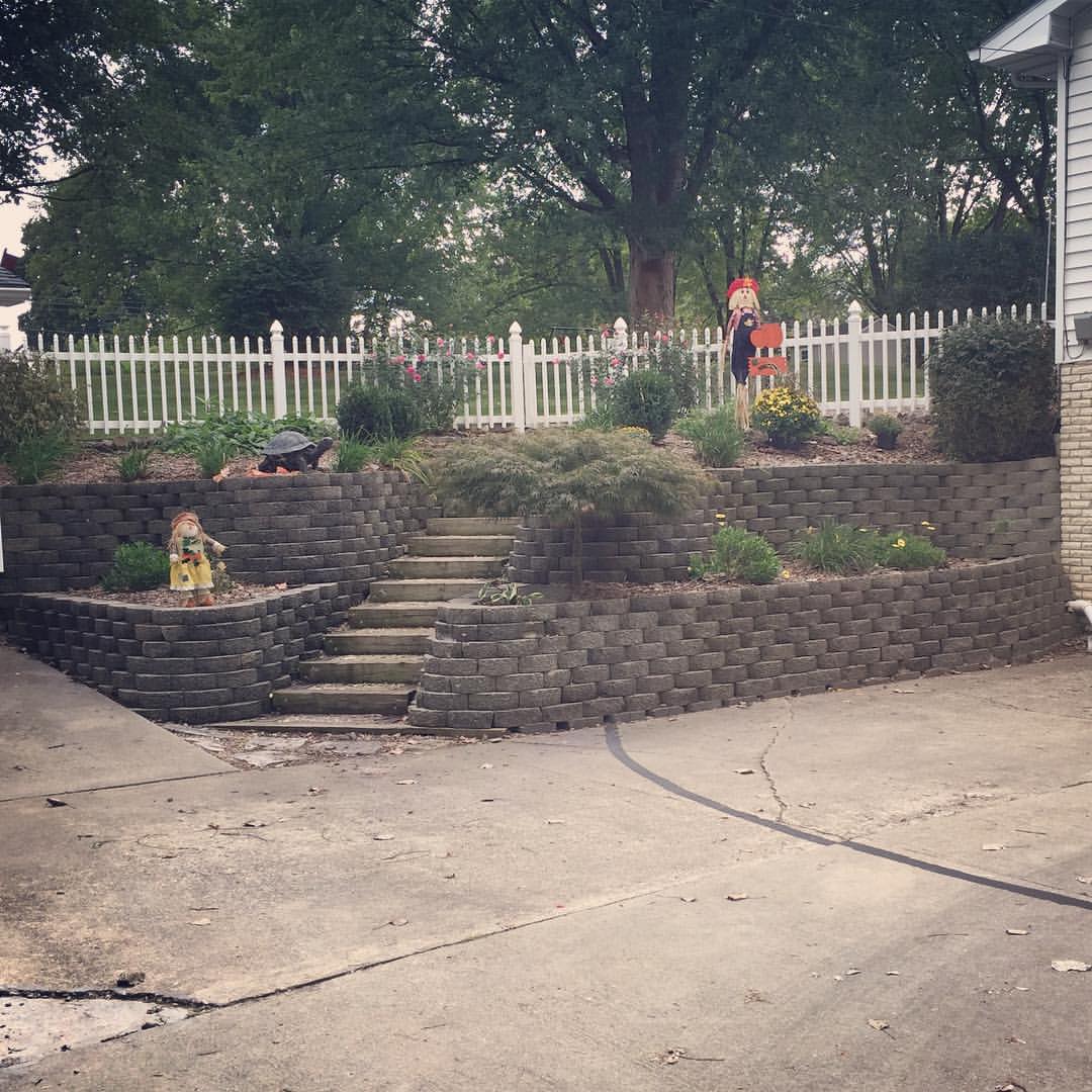 14566206_10154108331286443_8936487753349471946_o